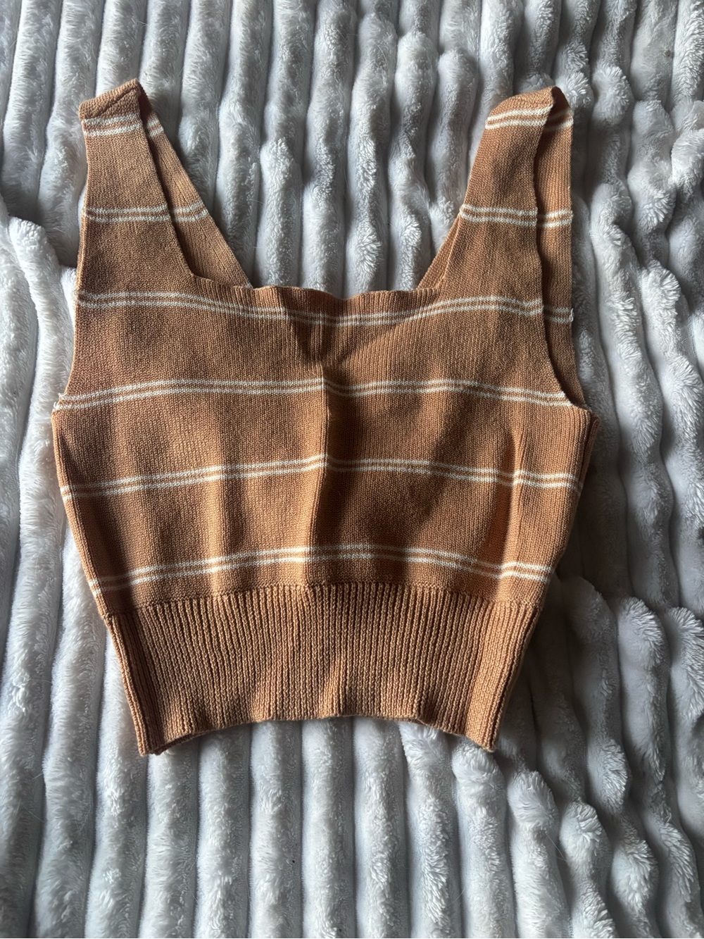Dry Goods Brown and Cream Striped Knit Crop Tank
